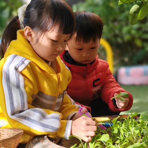 幼儿园的快乐生活——师大·小剑桥信华城幼儿园大二班一周回顾