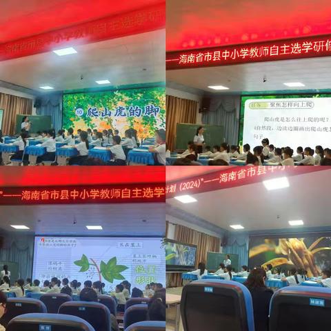 聚焦语文要素，切片研磨课堂——“国培计划（2024）”海南省市县中小学教师自主选学研修试点培训项目