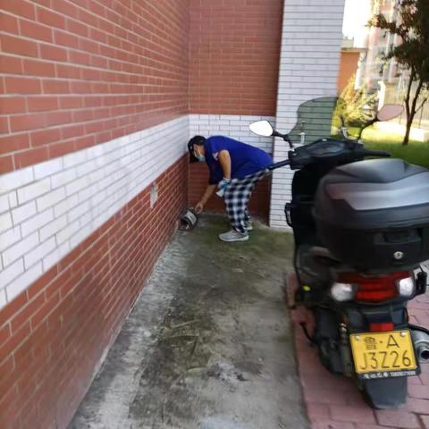 消杀进行时﻿ 李家庄开展灭蚊蝇专项行动