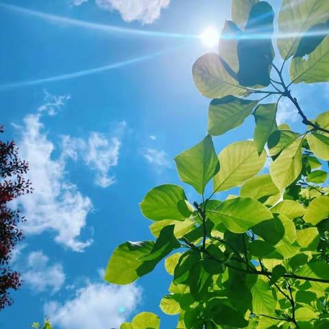 义马春天幼儿园中三班～🌸成长点滴•你我共享🌵