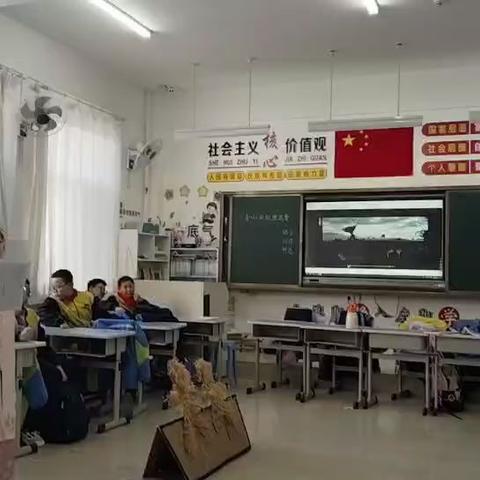 十一小 -整本书阅读