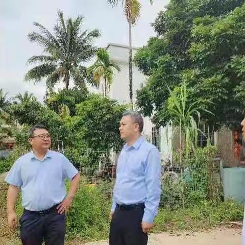 肖峰到本号镇调研农民增收与和美乡村创建工作