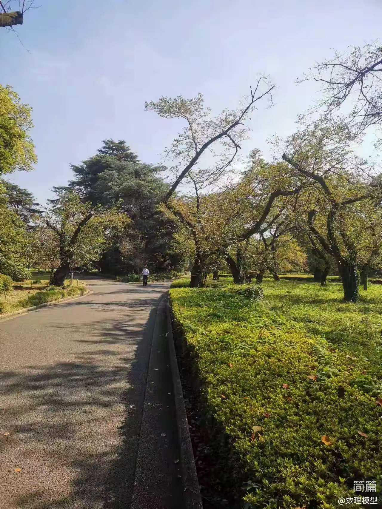 简篇-日本旅游相册(6)