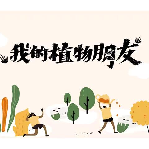 我的植物朋友