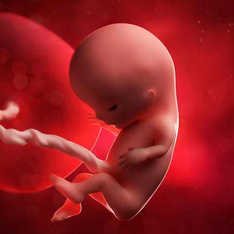 前置胎盘科普宣传