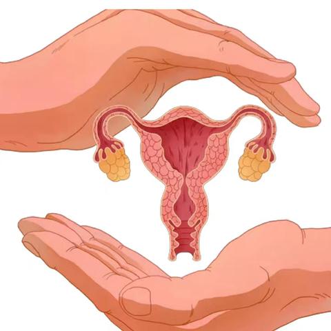 宫颈癌筛查您知多少？