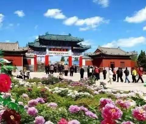 菏泽中国牡丹园+尧舜故里休闲赏花一日游