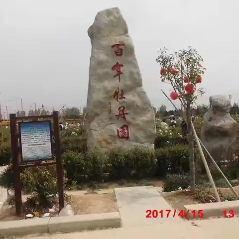 菏泽牡丹园一日游