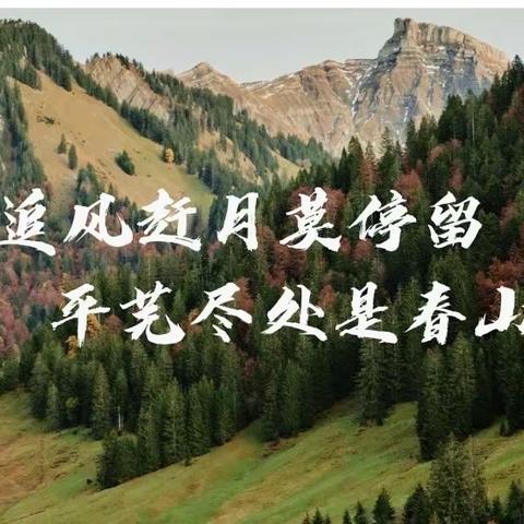 教研促改，课内联动课外