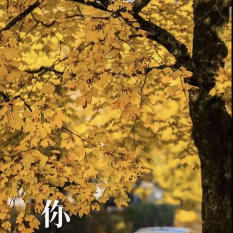 🍂看秋色，品秋食🍂