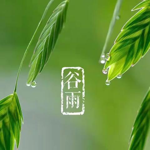 中二班第9周：雨生百谷  万象更新