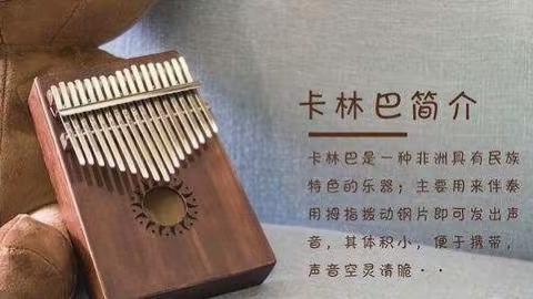 “指尖旋律，绘享童梦”——龙新小学拇指琴社团