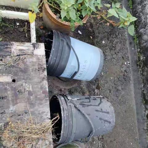 榕苑小区“蚊媒防治”攻坚显成效，居民生活环境显著改善