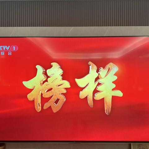 资规局龙华分局党支部全体党员学习收看《榜样8》