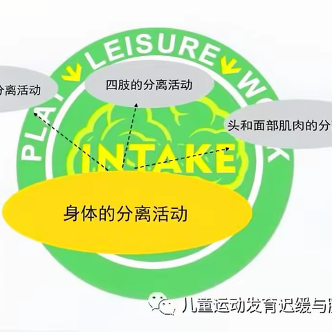 分离运动的具体表现和重要性