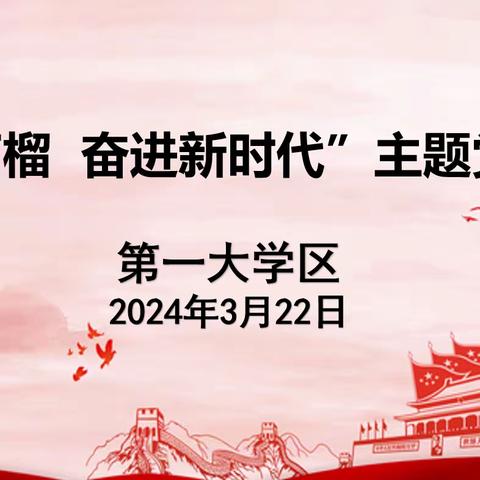 第一大学区召开“添彩石榴红 奋进新时代”主题党日活动