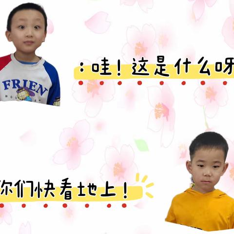 启蒙幼儿园中四班主题活动——《神秘的线条》