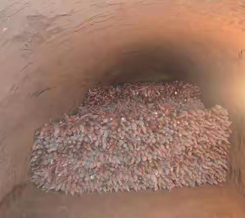 “农村有限空间安全”这些地方要操心！