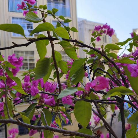 凝心聚力 织梦前行---1905班班级工作总结