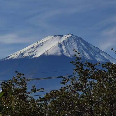 日本2023 东京/富士之旅 （10月17日--10月26日）