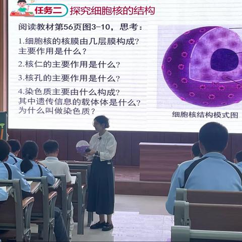 同课异构显智慧，杏坛竞技展风采