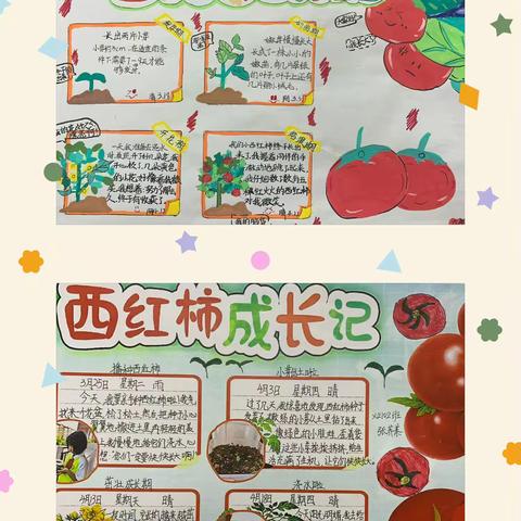 春天里，笔尖与绿芽的成长对话 ——萃英学校2025年读书节活动侧记