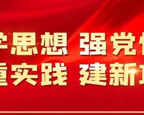 学思想 强党性 重实践 建新功——辛村中心校党支部7月份主题党日活动简报