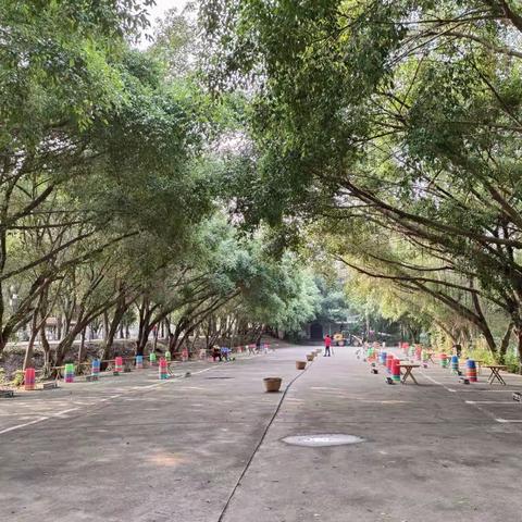 烟火暖人心，竞技展活力 —— 南宁市三美学校初三年级这场秋日实践活动超有料