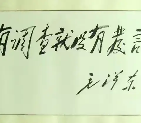 走进新农村，探寻乡村振兴脉搏——莲花中学暑期社会实践调研纪实