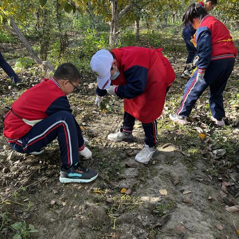 以“劳”树品德，以“动”促成长 ——库尔勒市第一小学劳动实践活动