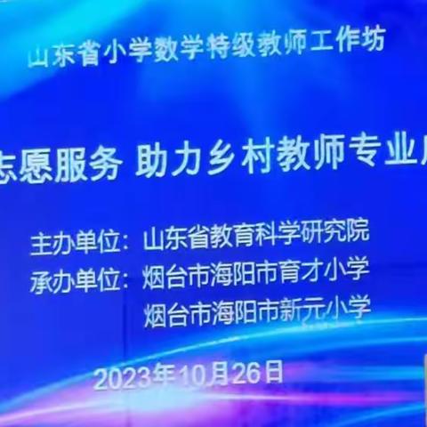 “志愿服务，助力乡村教师专业成长”系列研讨活动