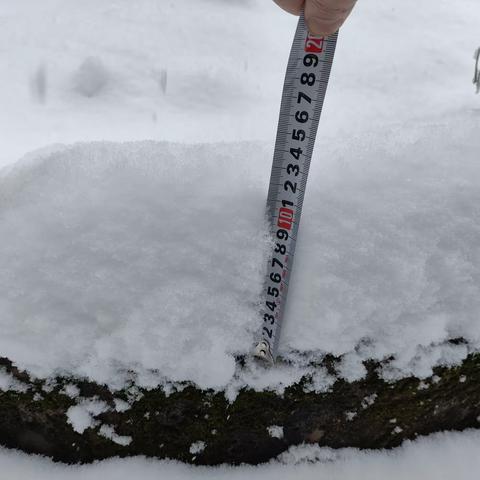 多措并举  加强防范——东阳市林业总场积极应对暴雪天气