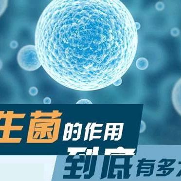 海天嘉园托育中心保健小知识第四十八期《益生菌对幼儿的作用及功效》