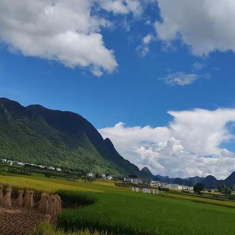 笔尖星火 静夜生辉 精心陪伴 护航成长 ——基地晚自习温情剪影
