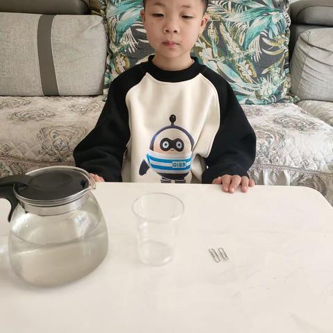 大家好我是实验小学一年级（8）班的周俊浩今天我的实验是《轻功水上漂》