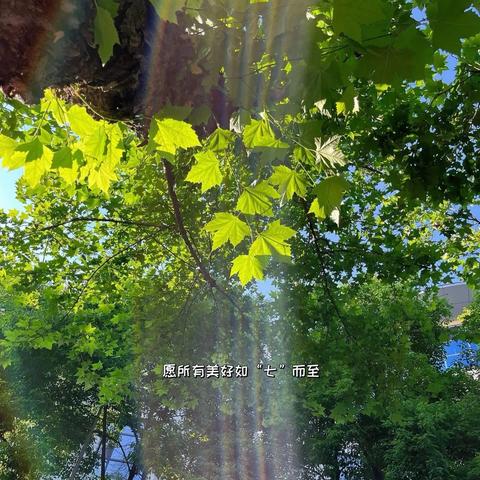 宏泰逸居亿佳物业2025年7月服务月报