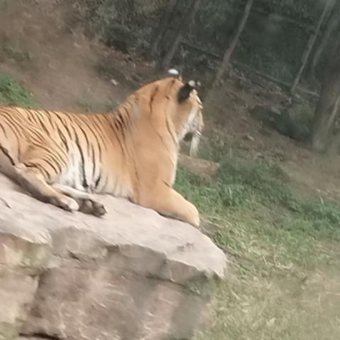 乐和乐都一日游<