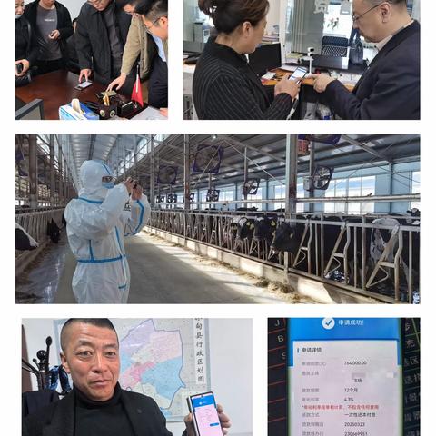 黑龙江“数字畜牧”产业服务平台 再添“两牛”场景 奶牛养殖类信贷产品投产