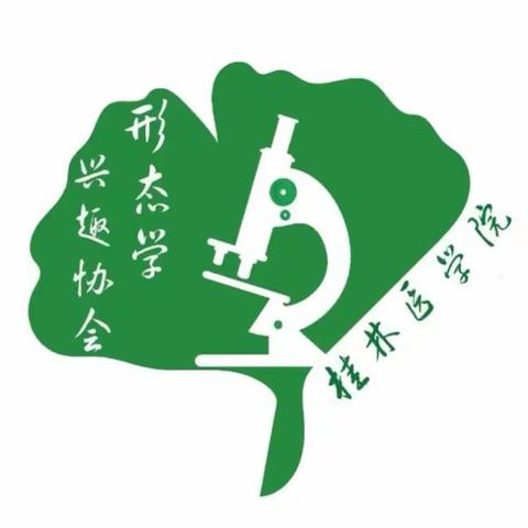 叙事病理——桂林医学院病理学教研室（第四期）