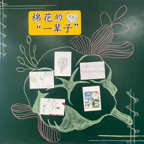 情意“棉棉”，“花”自盛开——马腰小学302班一班一品劳动项目