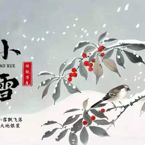 “幼”见小雪，冬意浓浓——晓晓幼儿园光芒大二班小雪节气主题活动