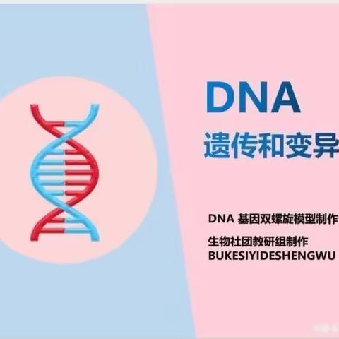 纱厂路小学探索生物社团