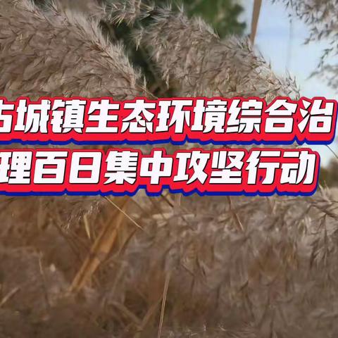 吹响“冲锋号”，按下“加速键” 古城镇环境整治再掀热潮