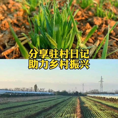 分享驻村日常  助力乡村振兴