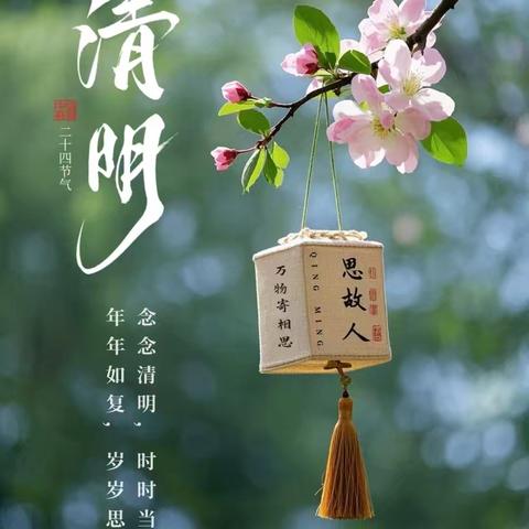 春雨润于心，清明融于情—龙泉小学二年级清明节实践活动