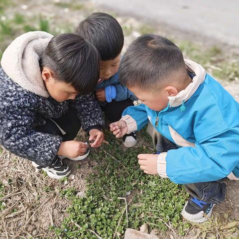 “我找到的春天”——寿张集镇中心幼儿园春日活动