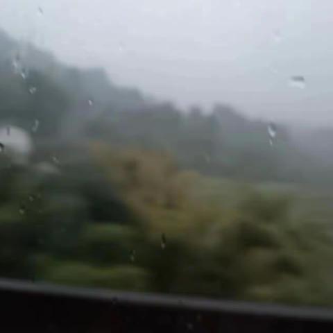 令人向往的研学旅行( •͈ᴗ⁃͈)ᓂ- - -♡﻿