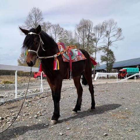 用户16563417的简篇