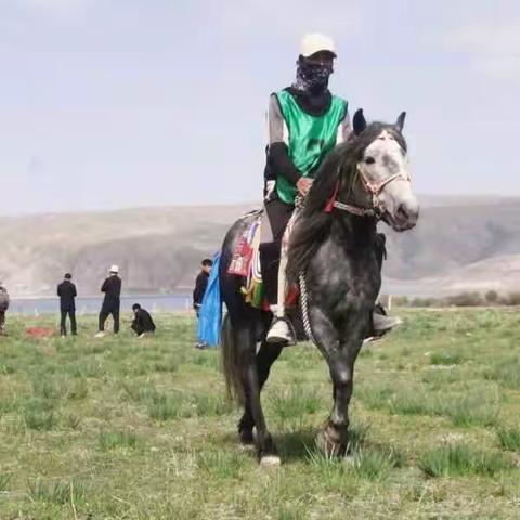 庆元旦促进天祝藏族自治县马产业发展，加强民族团结，丰富农牧民群众文化生活，营造和美乡村祥和的时代氛围，