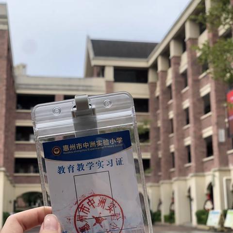 中洲实验小学见习分享